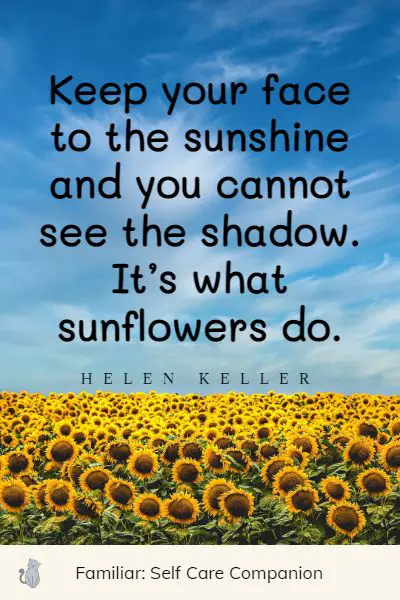 cute sunflower quotes