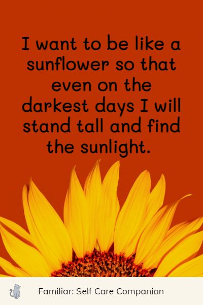 deep sunflower quotes