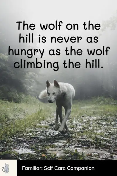 encouraging wolf quotes