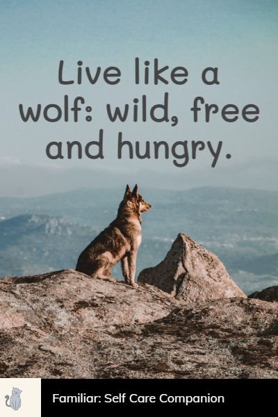i am wolf quotes