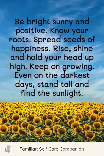 inspirational sunflower quotes