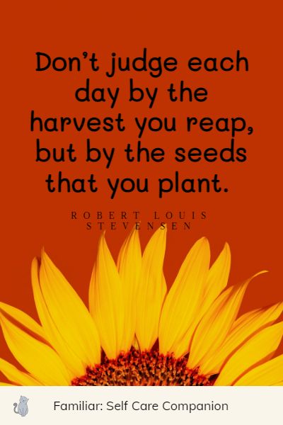 short sunflower quotes