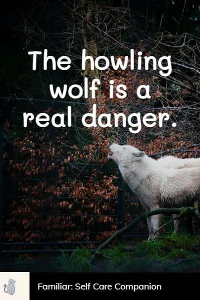 short wolf quotes