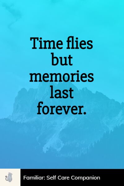 deep time flies quotes