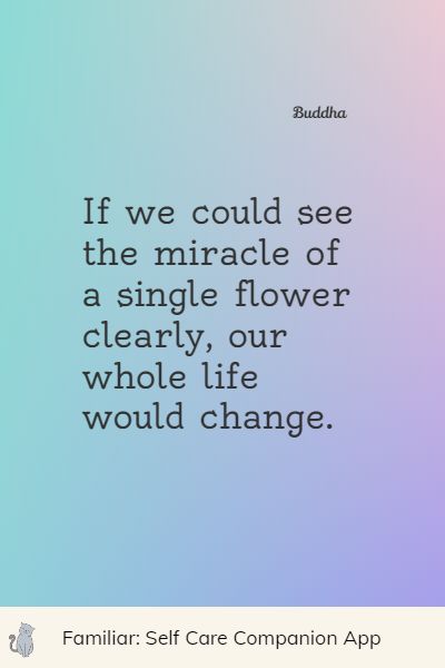 powerful miracle quotes