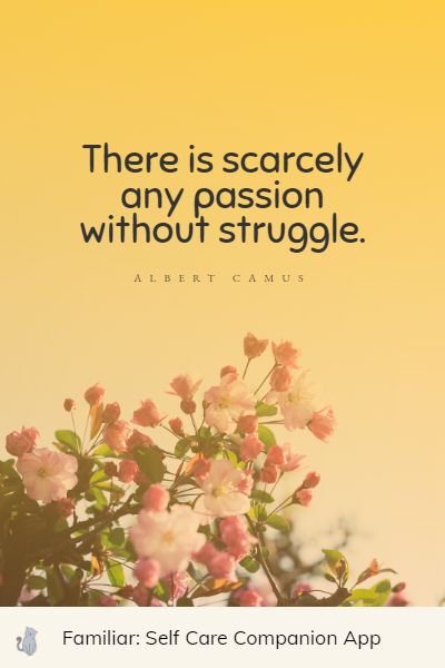 positive passion quotes
