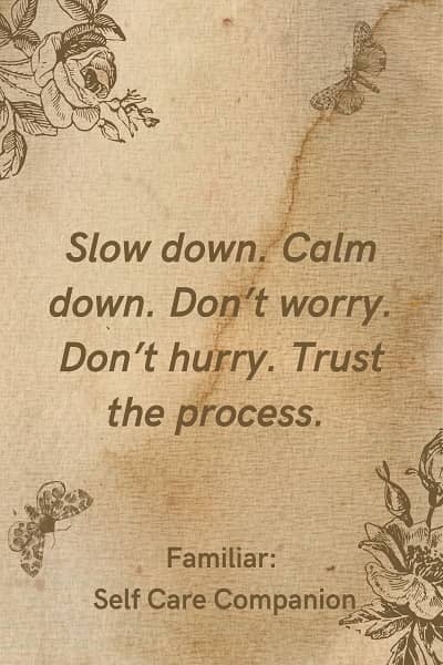 short trust the process quotes