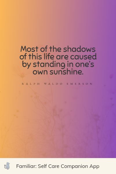 top sunshine quotes