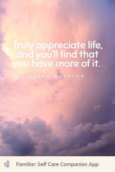 appreciate life quotes
