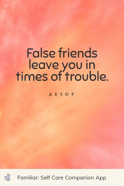 best fake people quotes