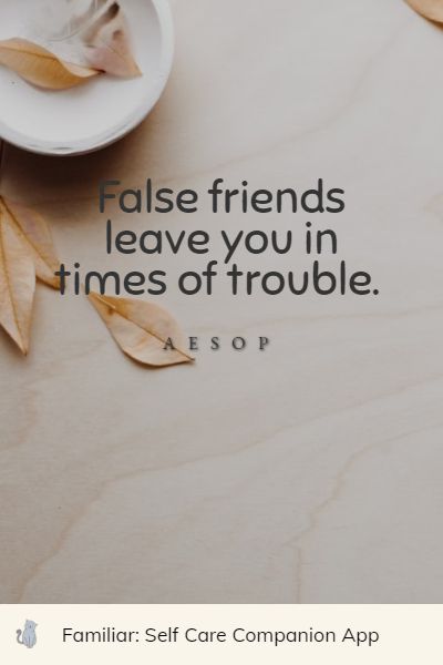 positive fake friends quotes