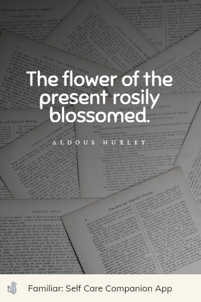 top bloom quotes
