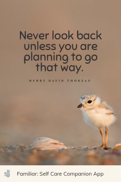 top planning quotes