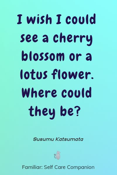 best lotus quotes