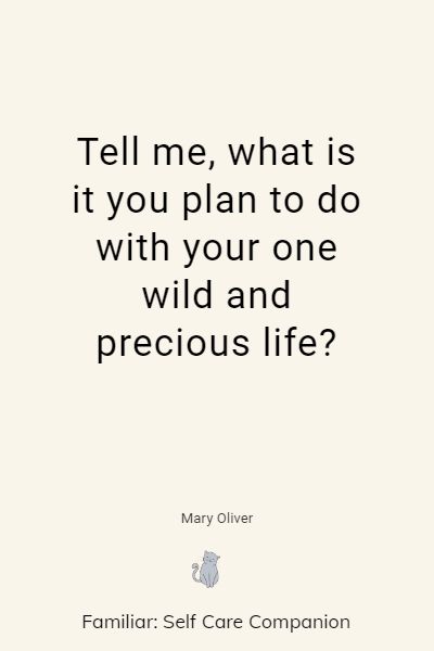 famous mary oliver quotes