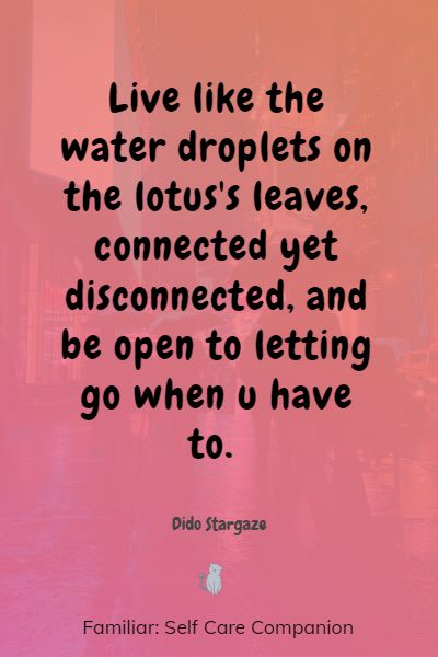 famous lotus quotes