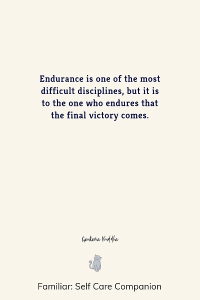inspirational endurance quotes