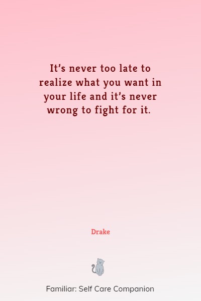 most famous drake quotes