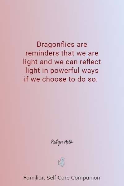 deep dragonfly quotes