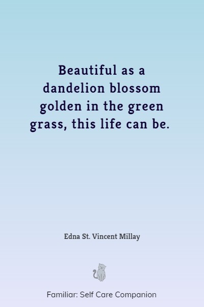 famous dandelion quotes