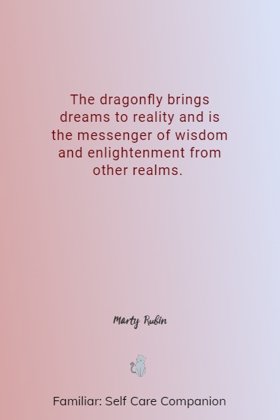 famous dragonfly quotes